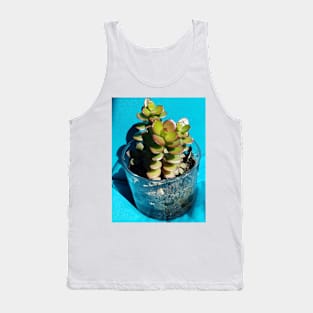 Jade plant in a glass dish Tank Top